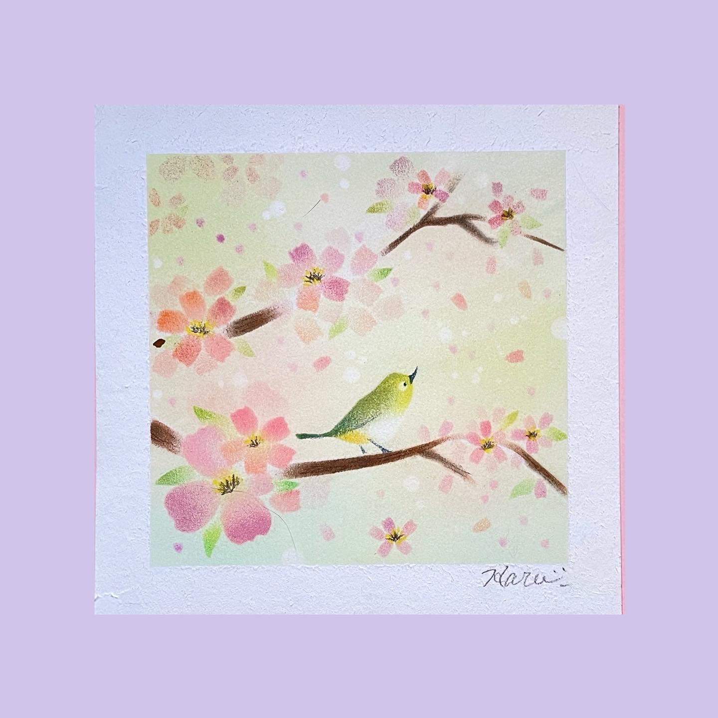 パステルアート桜とメジロ