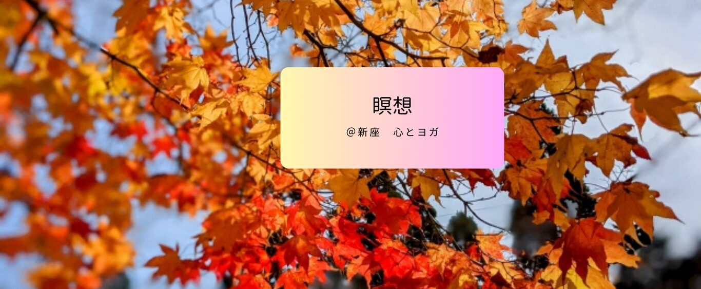 topics紅葉写真